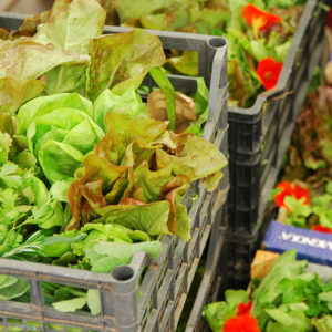 Verdure e frutta di stagione