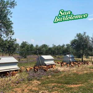 Pollo e uova bio (Fino a ven. 06/06 ore 11:00 - Consegna mer. 11/06)