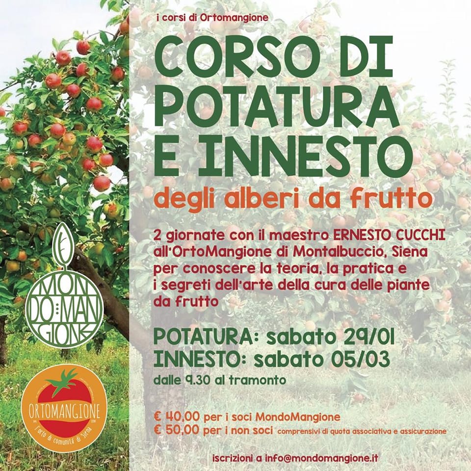 potatura_innesto_ortomangione