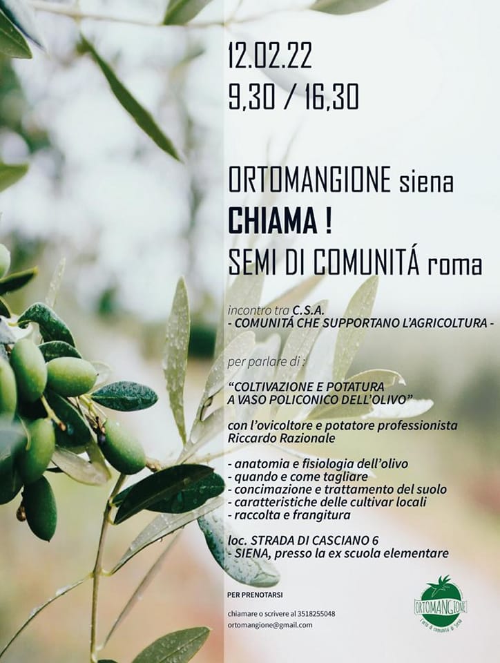 potatura_olici_ortomangione